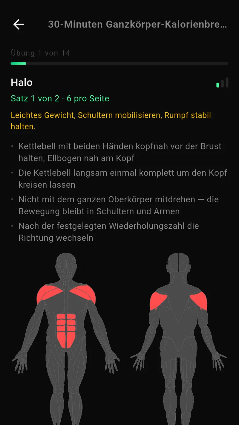 Aktives Training mit Übungen und Sätzen