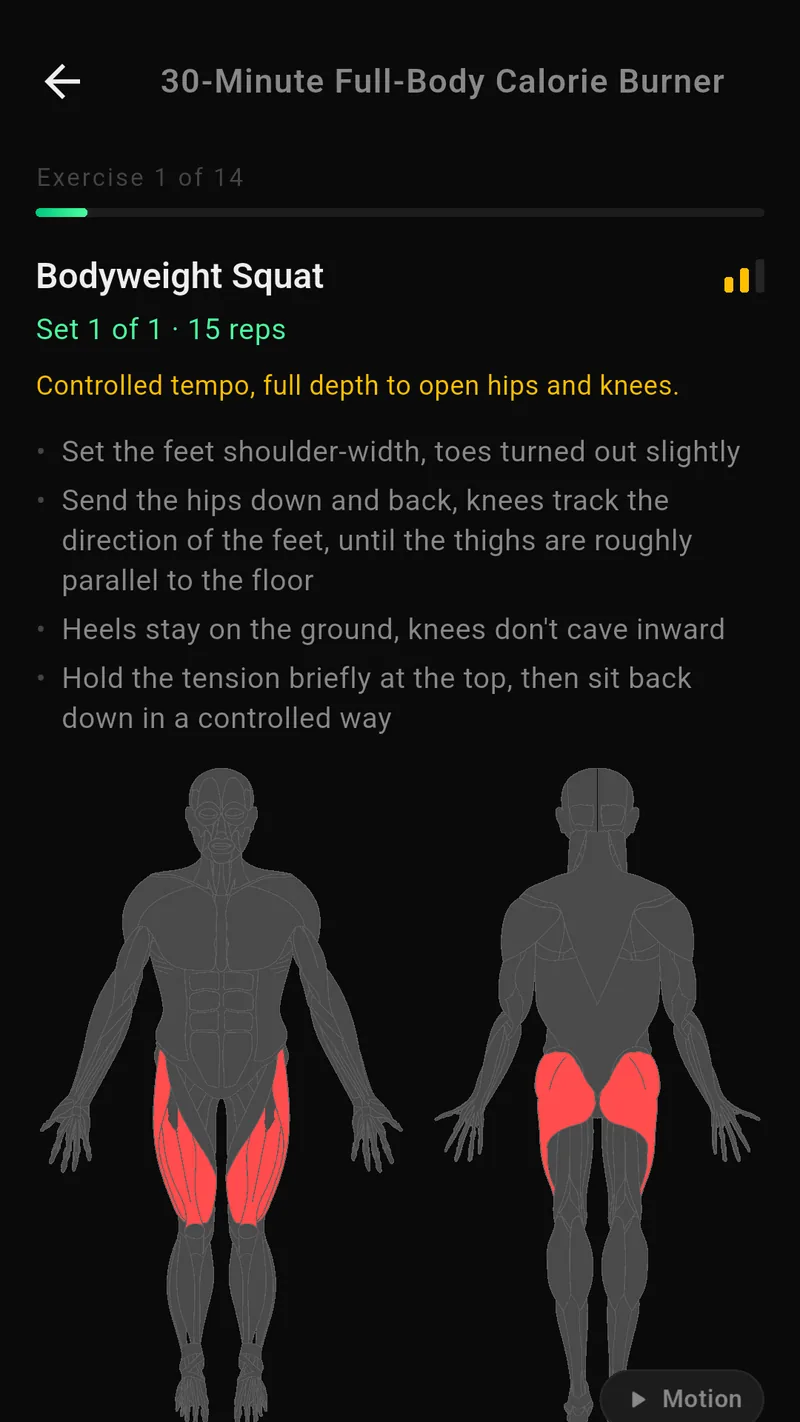 Active workout with exercises and sets